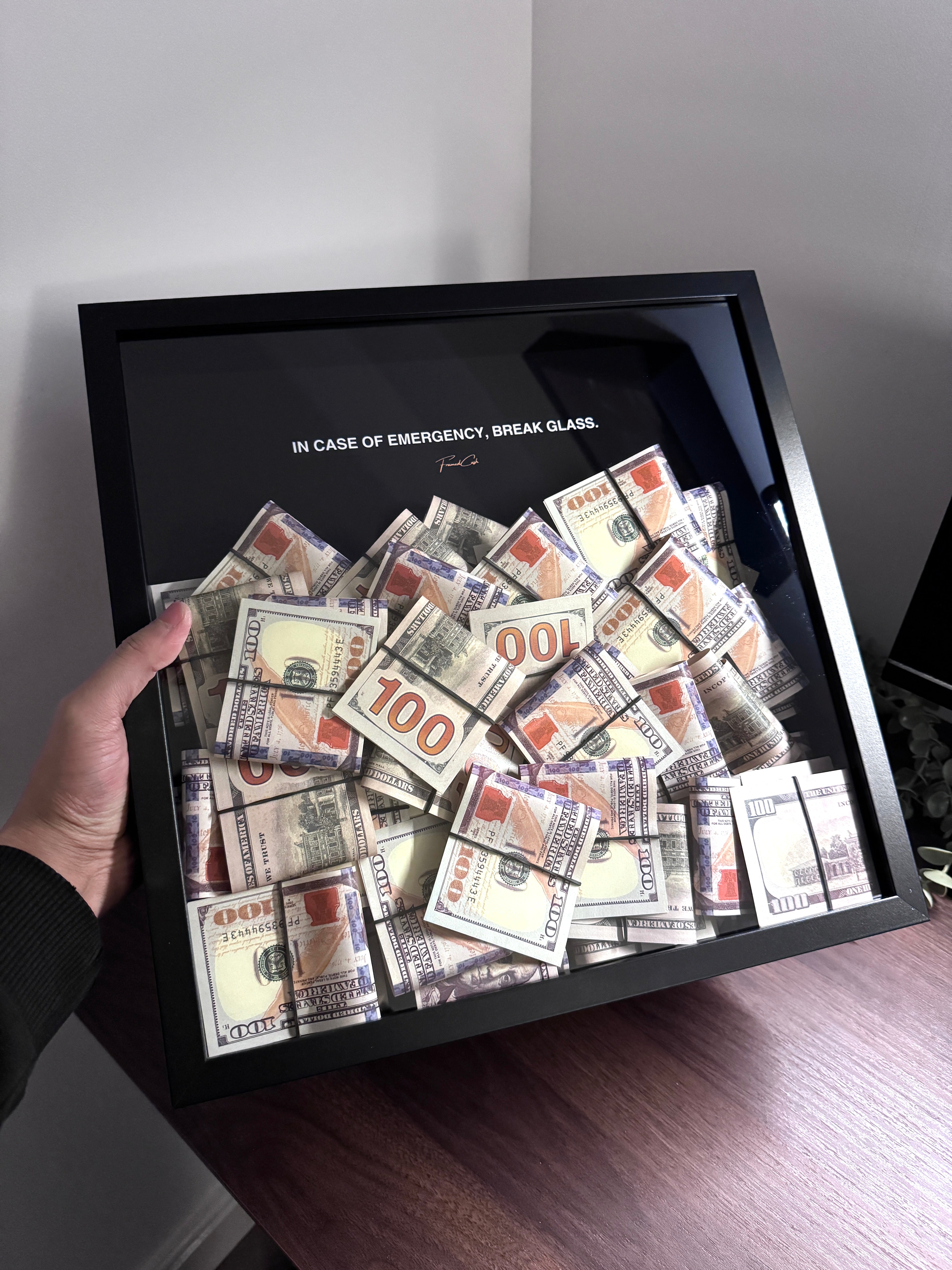 Emergency Liquidity - In Case of Emergecy USD Edition