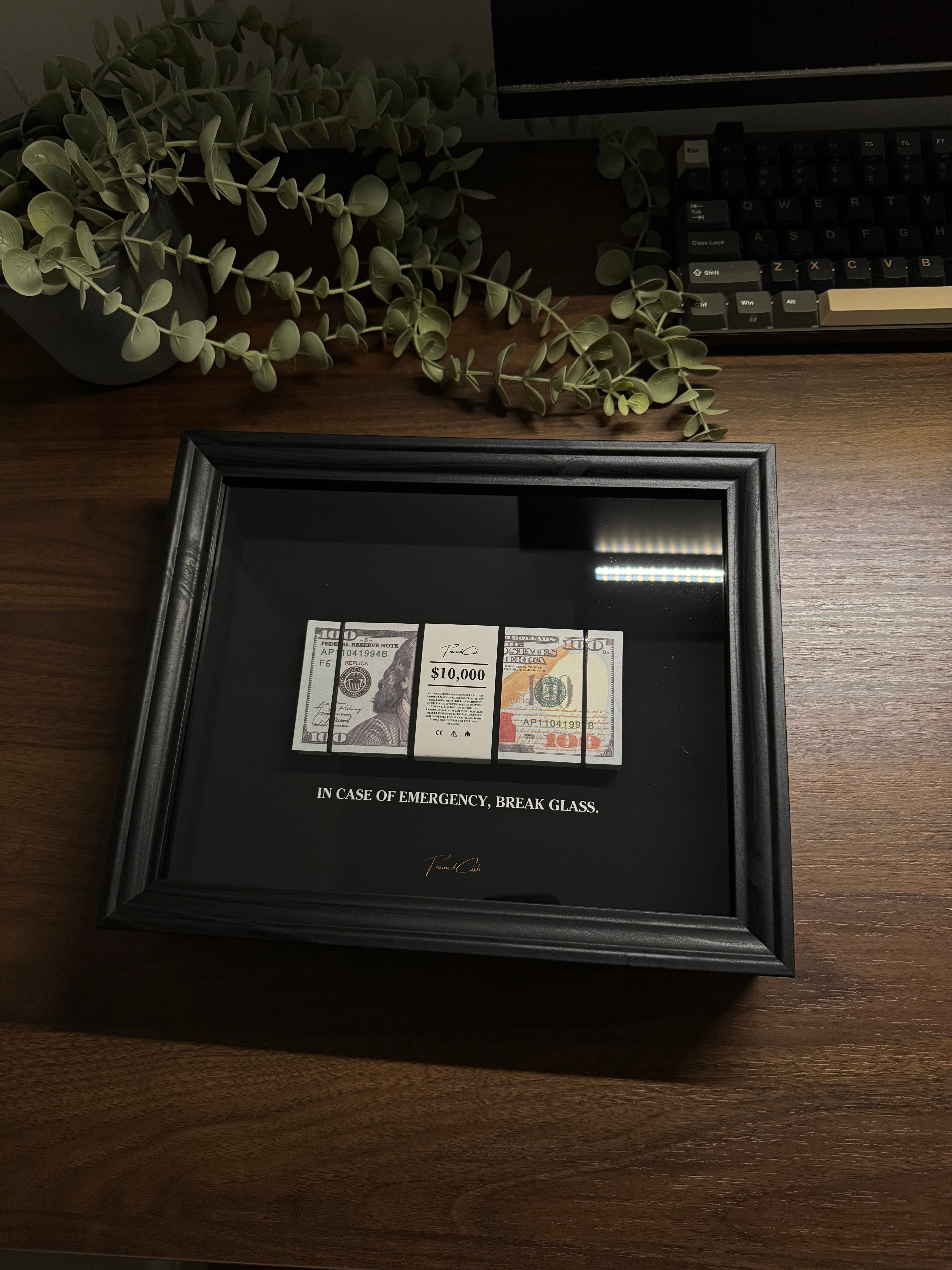 In Case of Emergency Frame - USD Edition