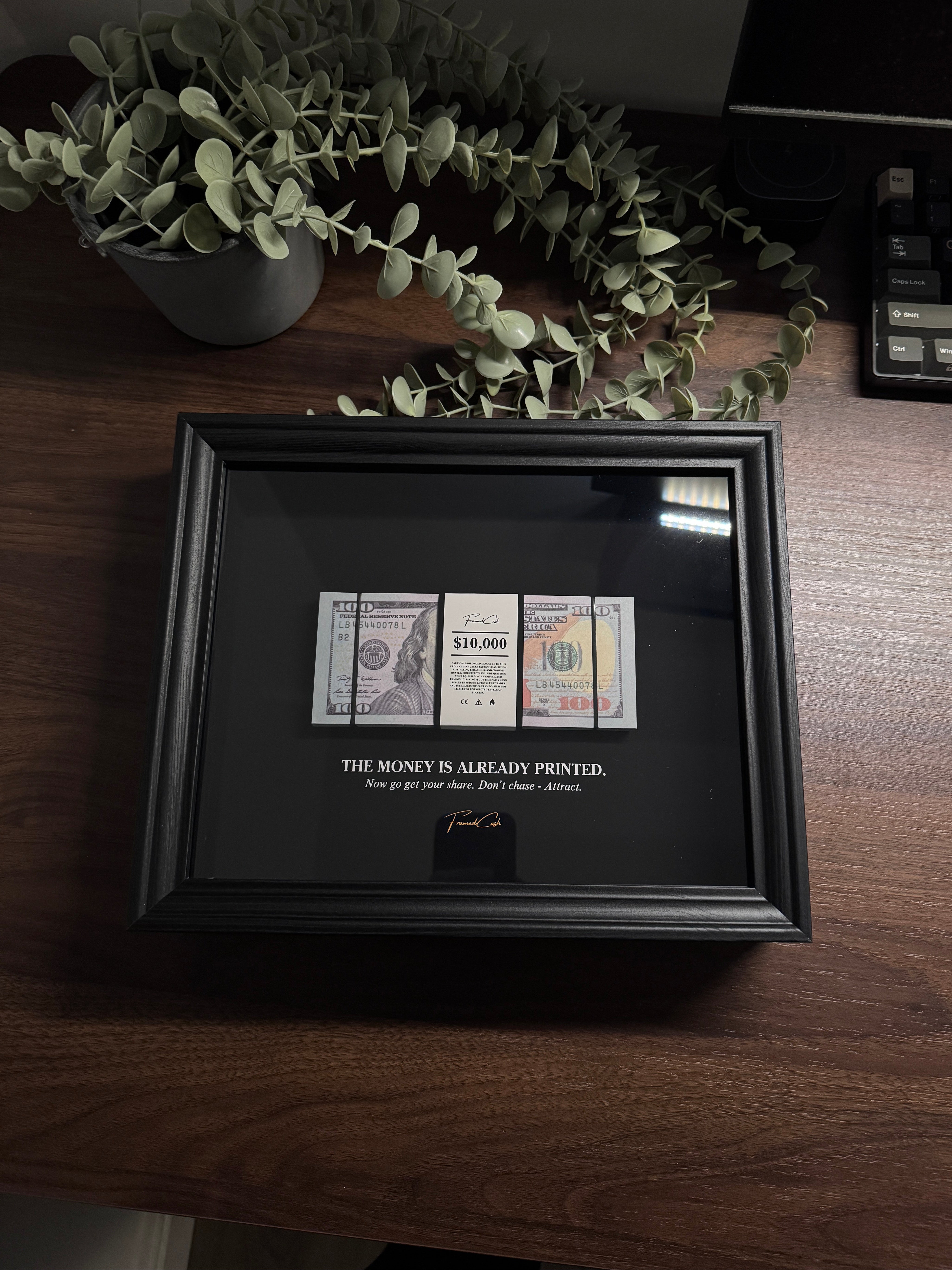 The Money Is Already Printed Frame - USD Edition