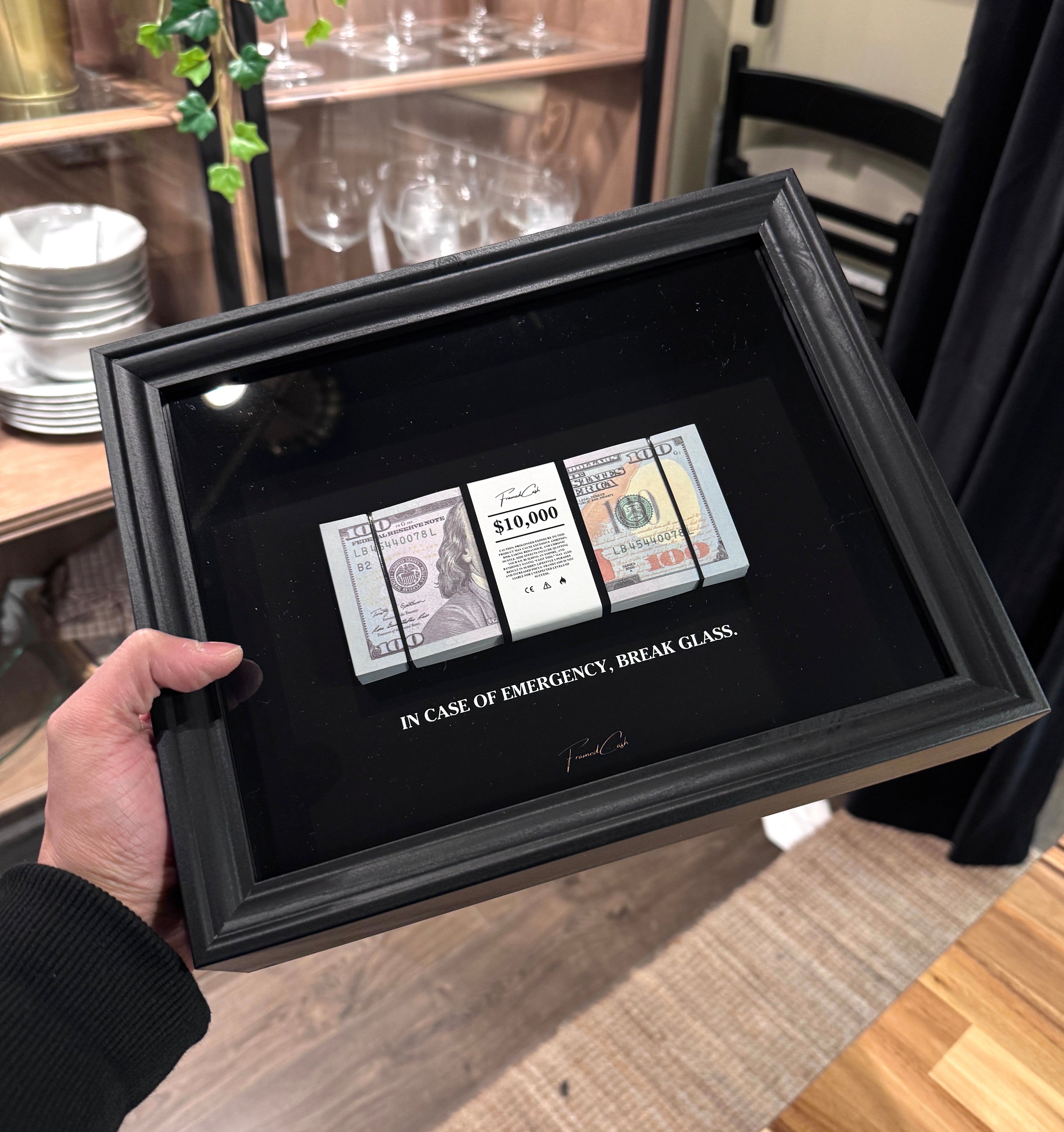 In Case of Emergency Frame - USD Edition