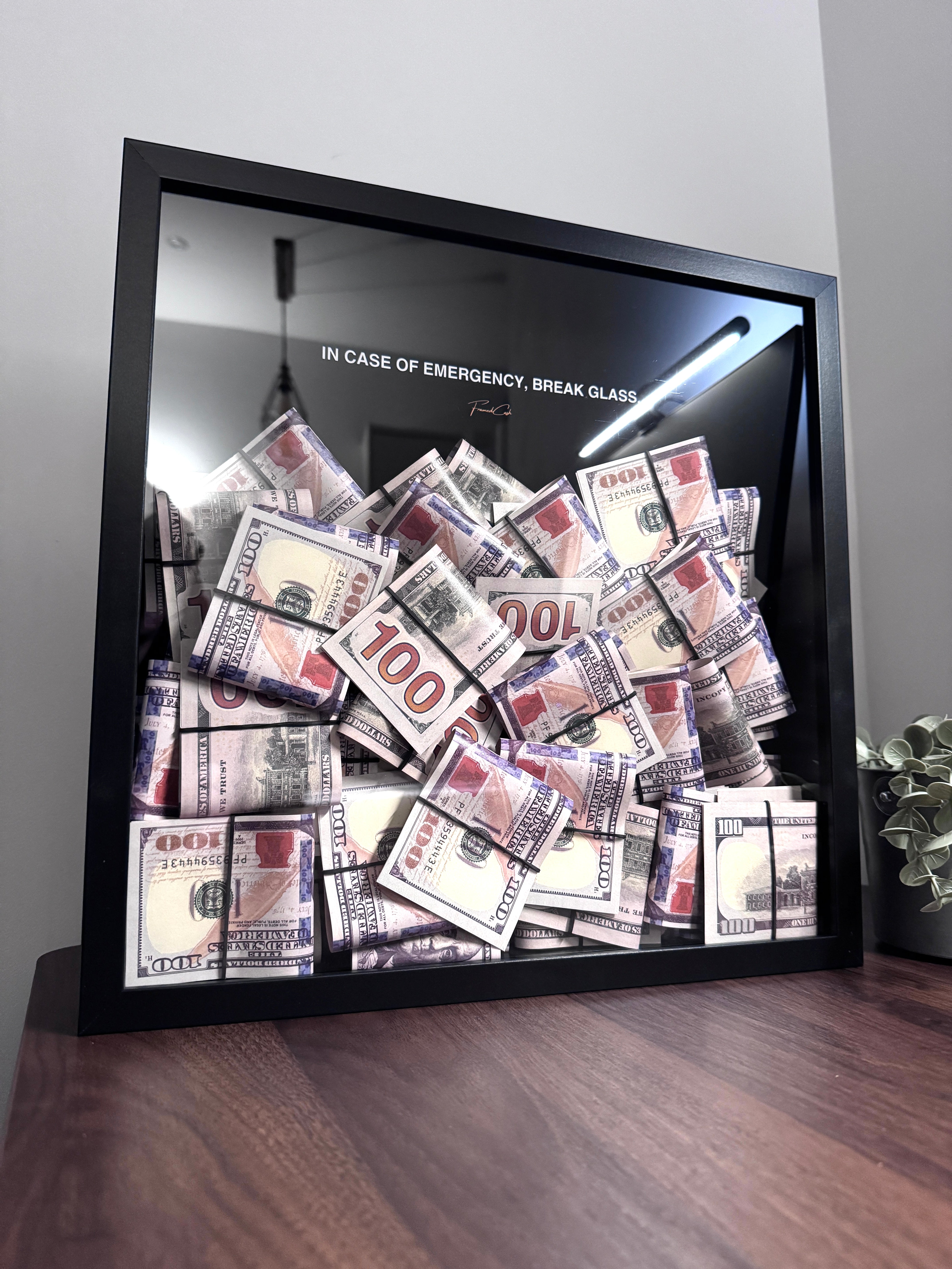Emergency Liquidity - In Case of Emergecy USD Edition