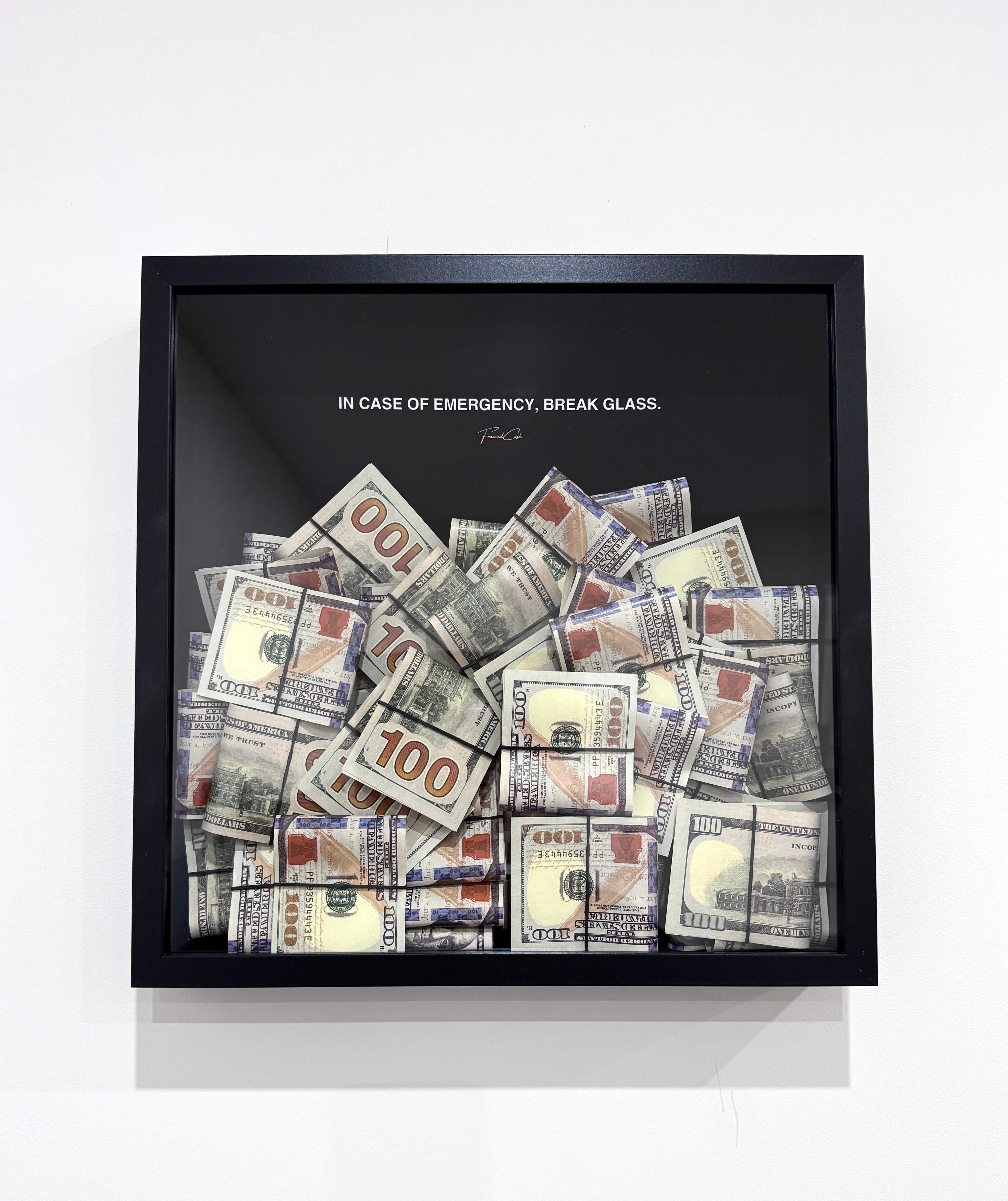 Emergency Liquidity - In Case of Emergecy USD Edition
