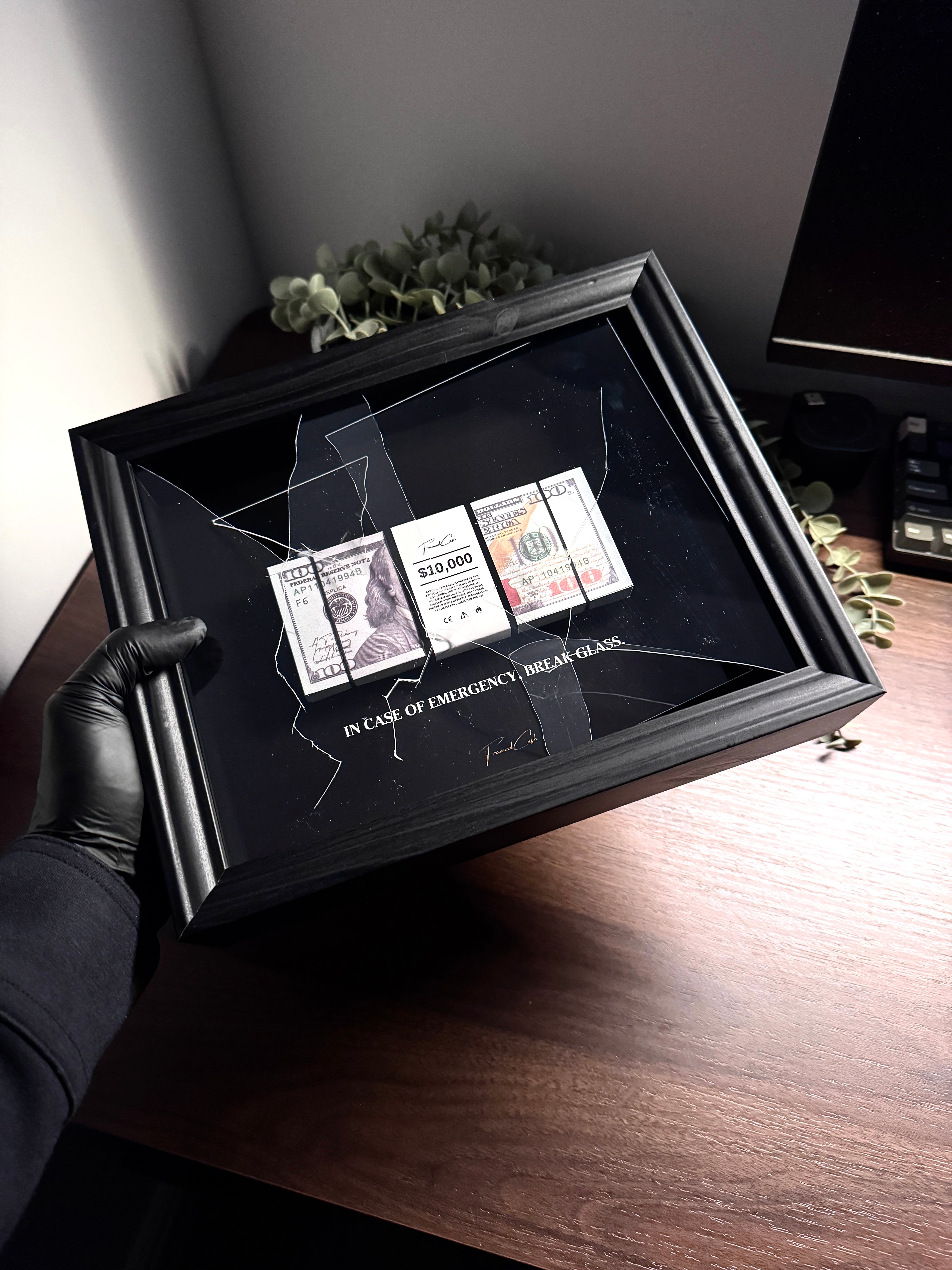 In Case of Emergency Frame - USD Edition