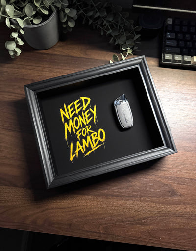 NEED MONEY FOR LAMBORGHINI