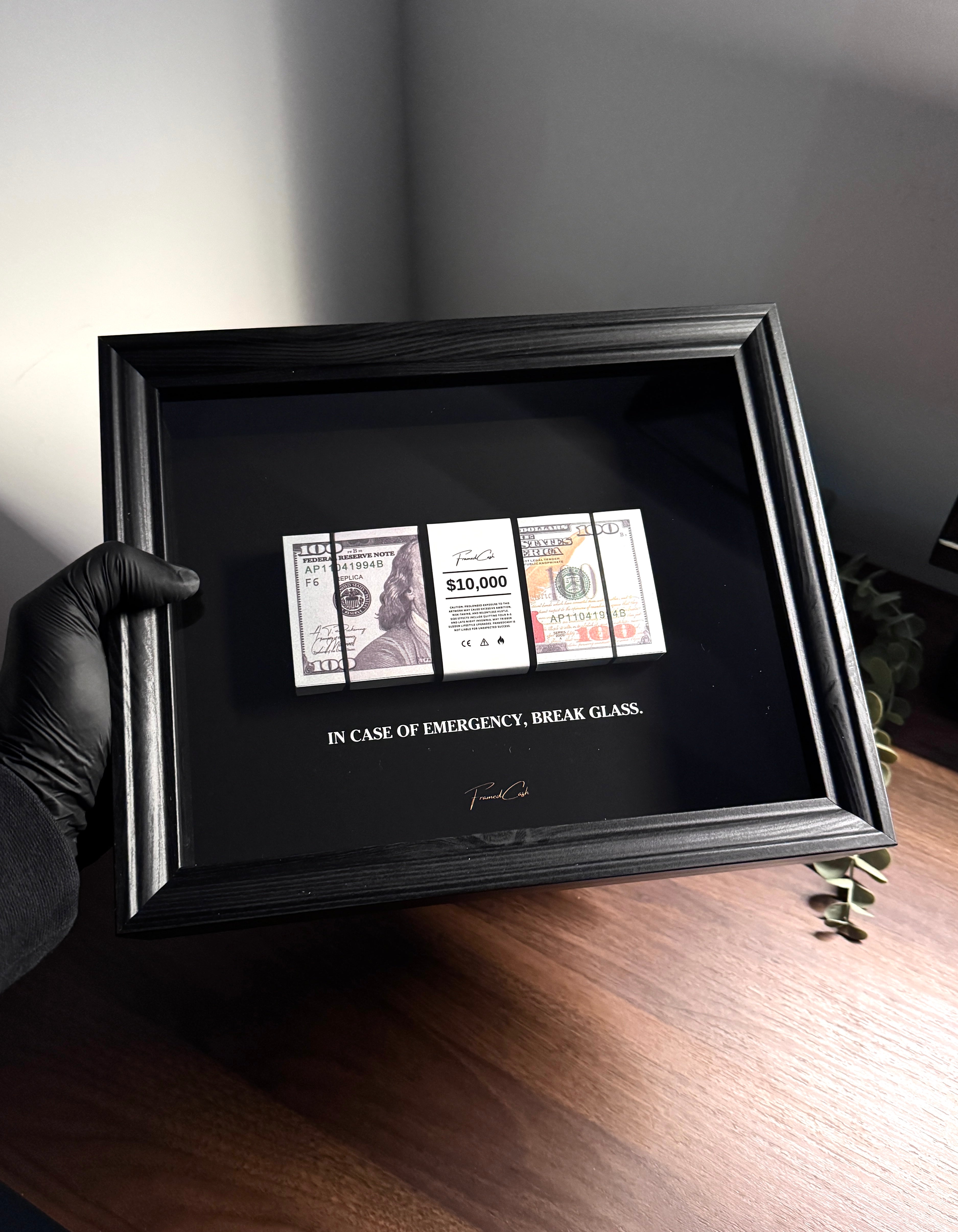 IN CASE OF EMERGENCY FRAME – USD EDITION