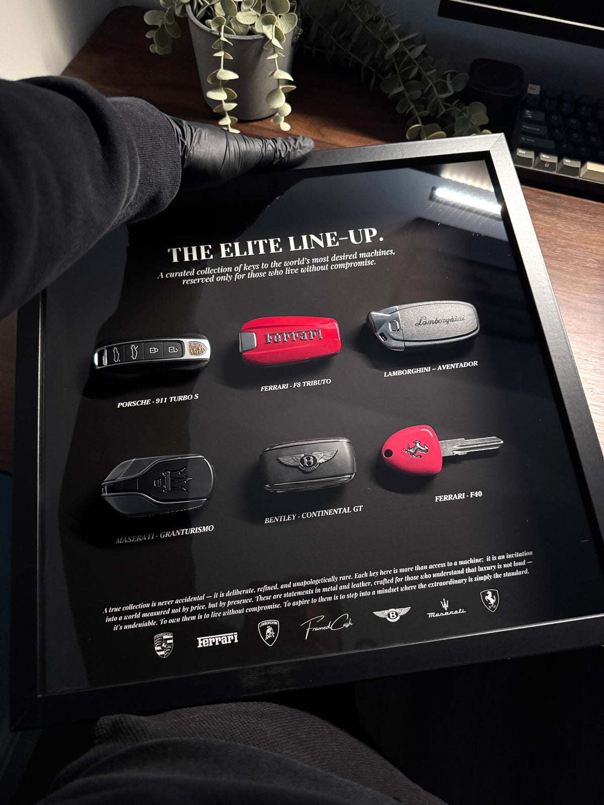 THE ELITE LINE-UP