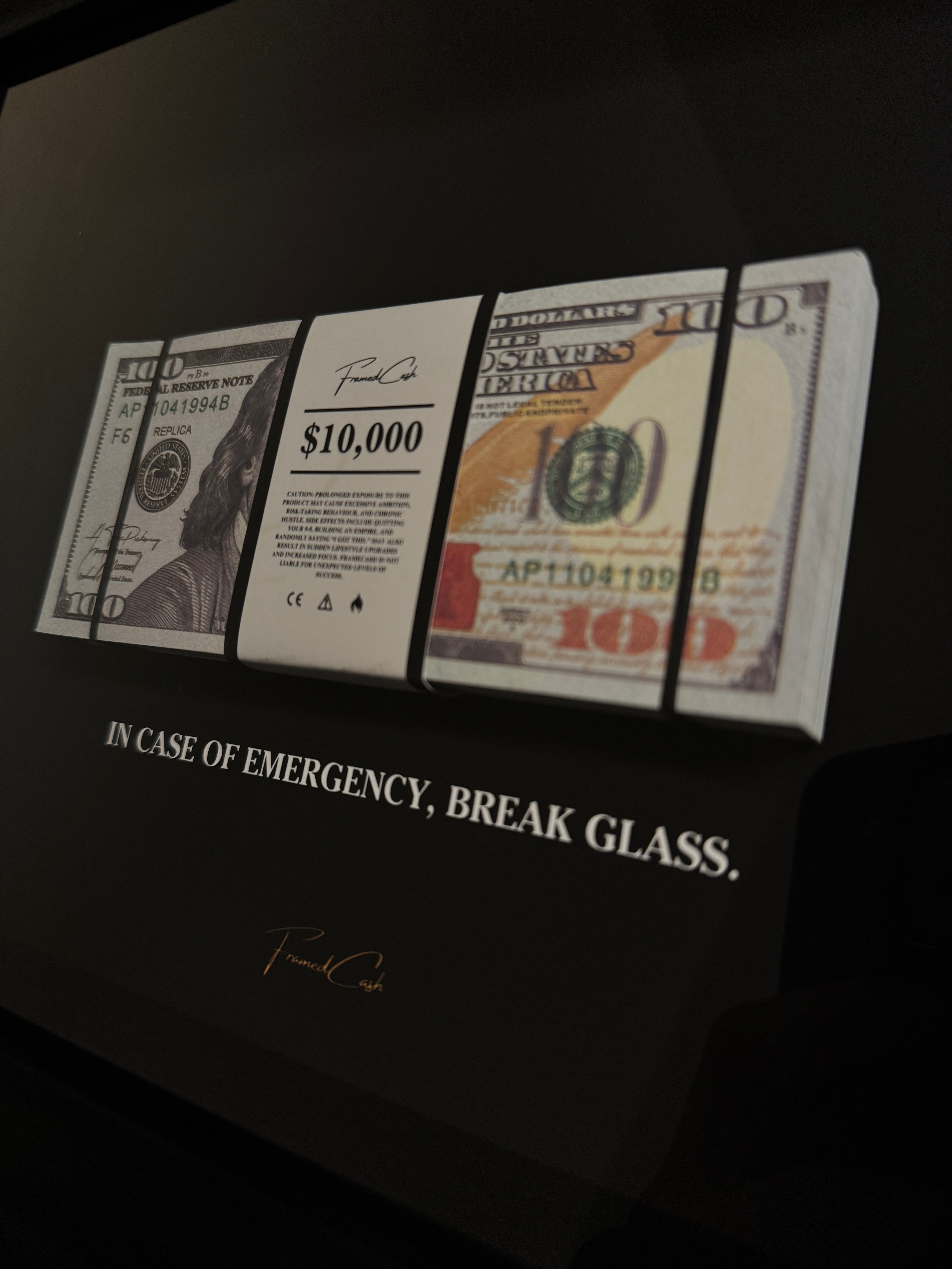 In Case of Emergency Frame - USD Edition