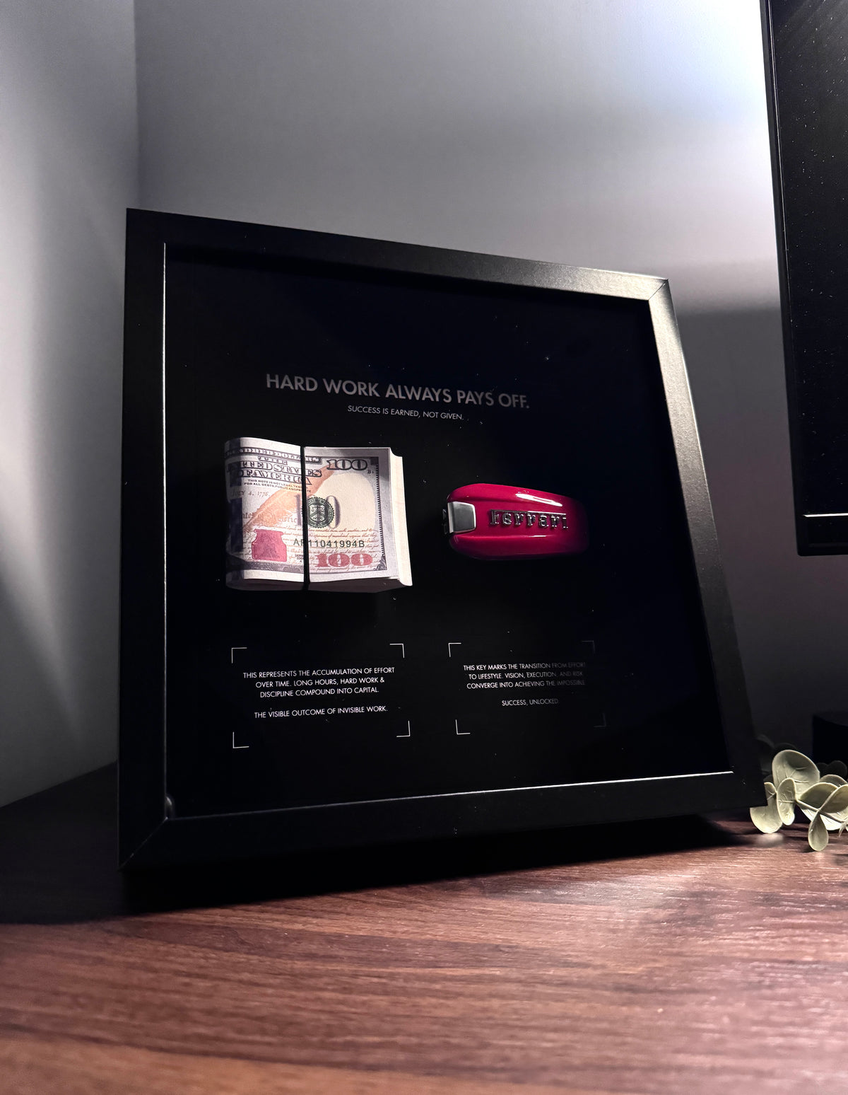 HARD WORK ALWAYS PAYS OFF – USD & FERRARI FRAME