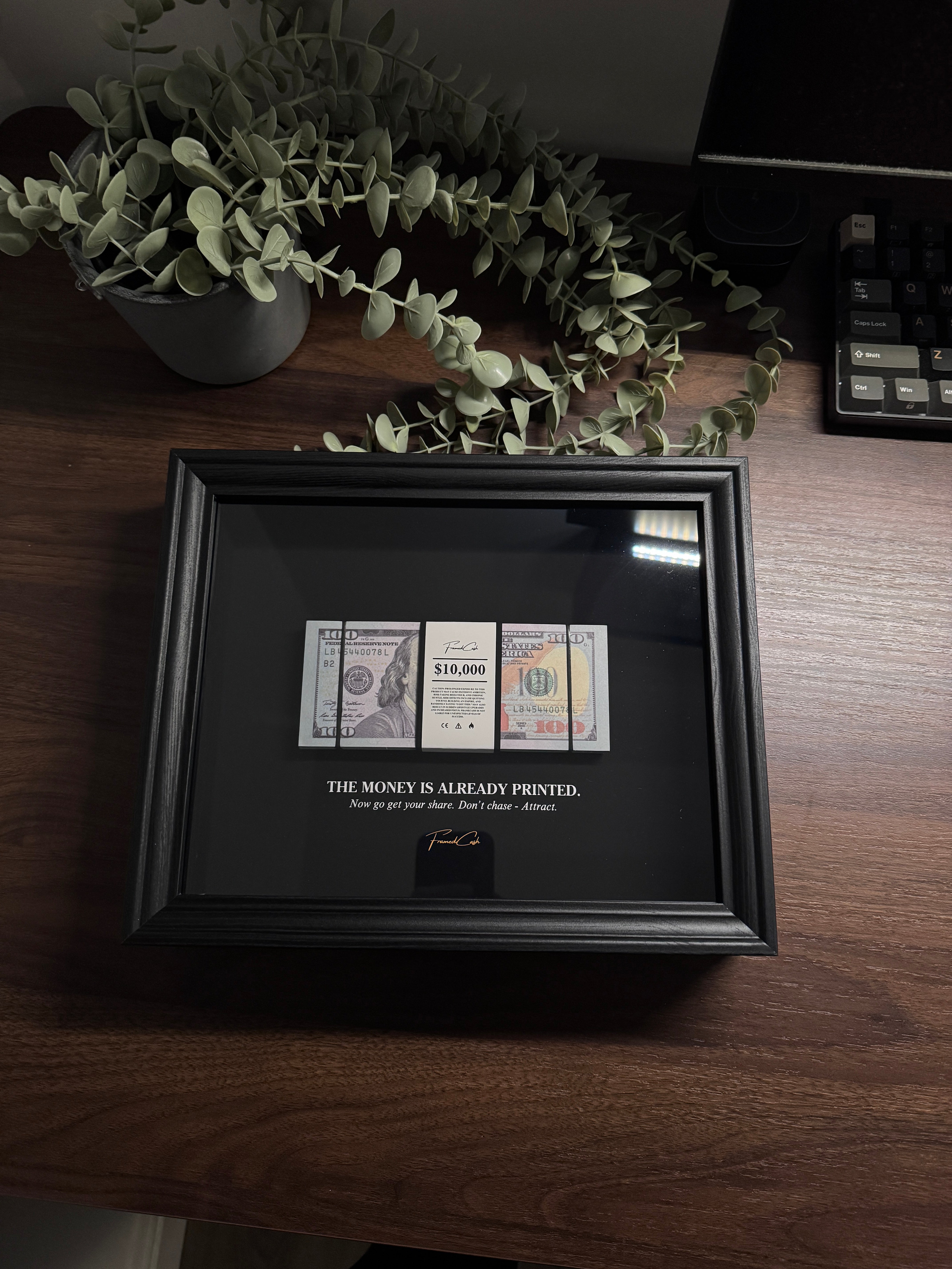 The Money Is Already Printed Frame - USD Edition