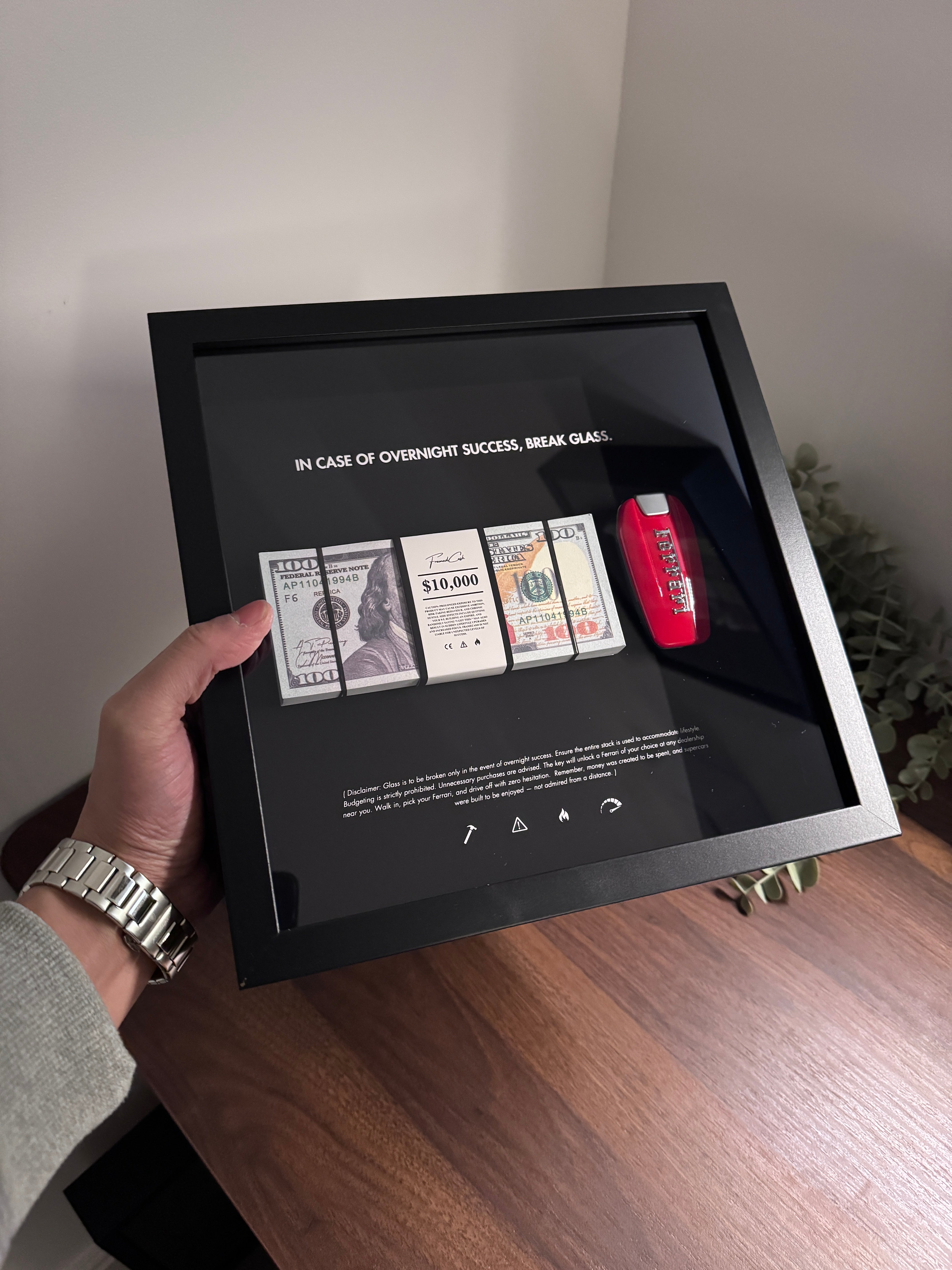 In Case Of Overnight Success Frame - USD & Ferrari Edition