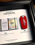 Blueprint to Freedom Frame