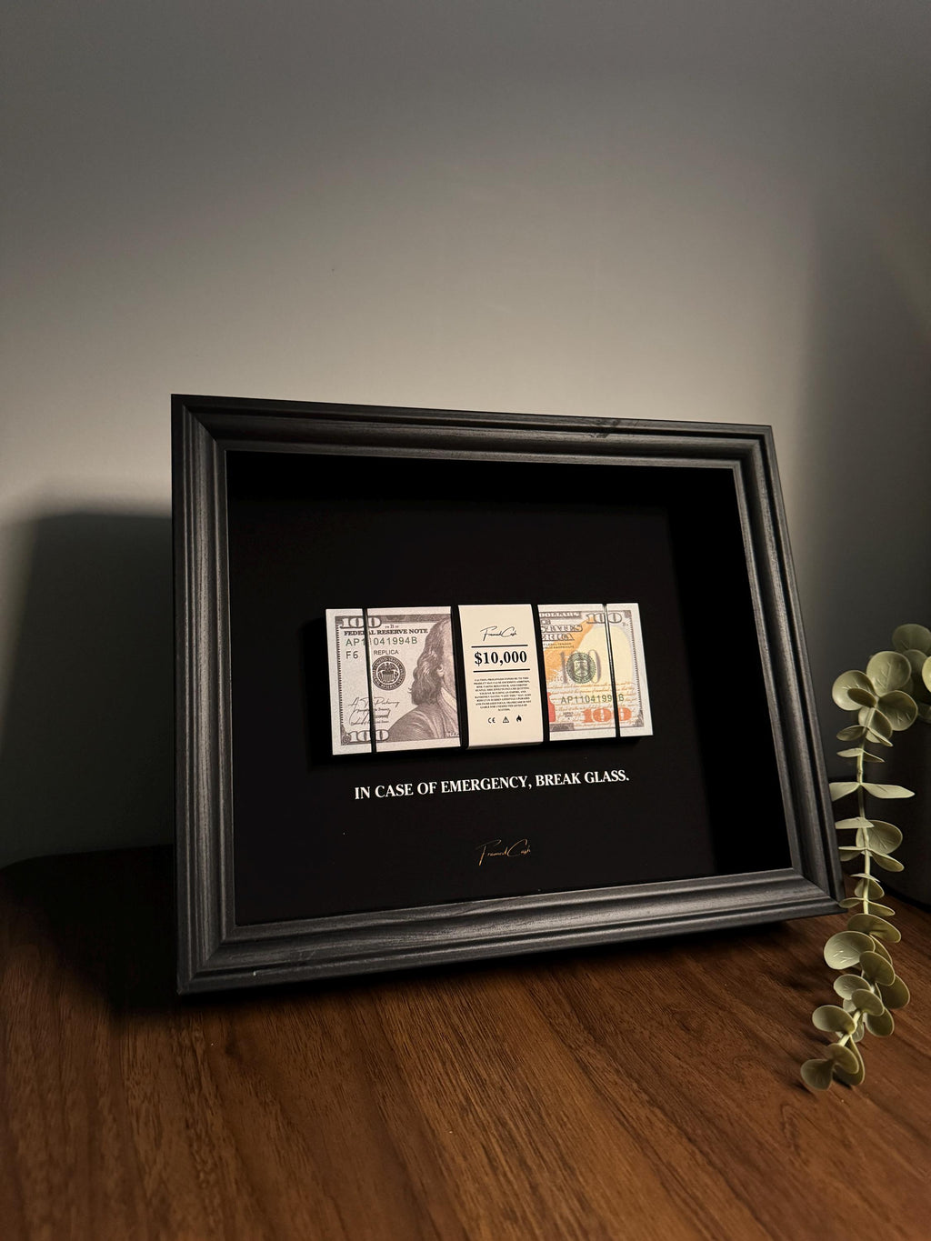 In Case of Emergency Frame - USD Edition | Luxury Money Wall Art