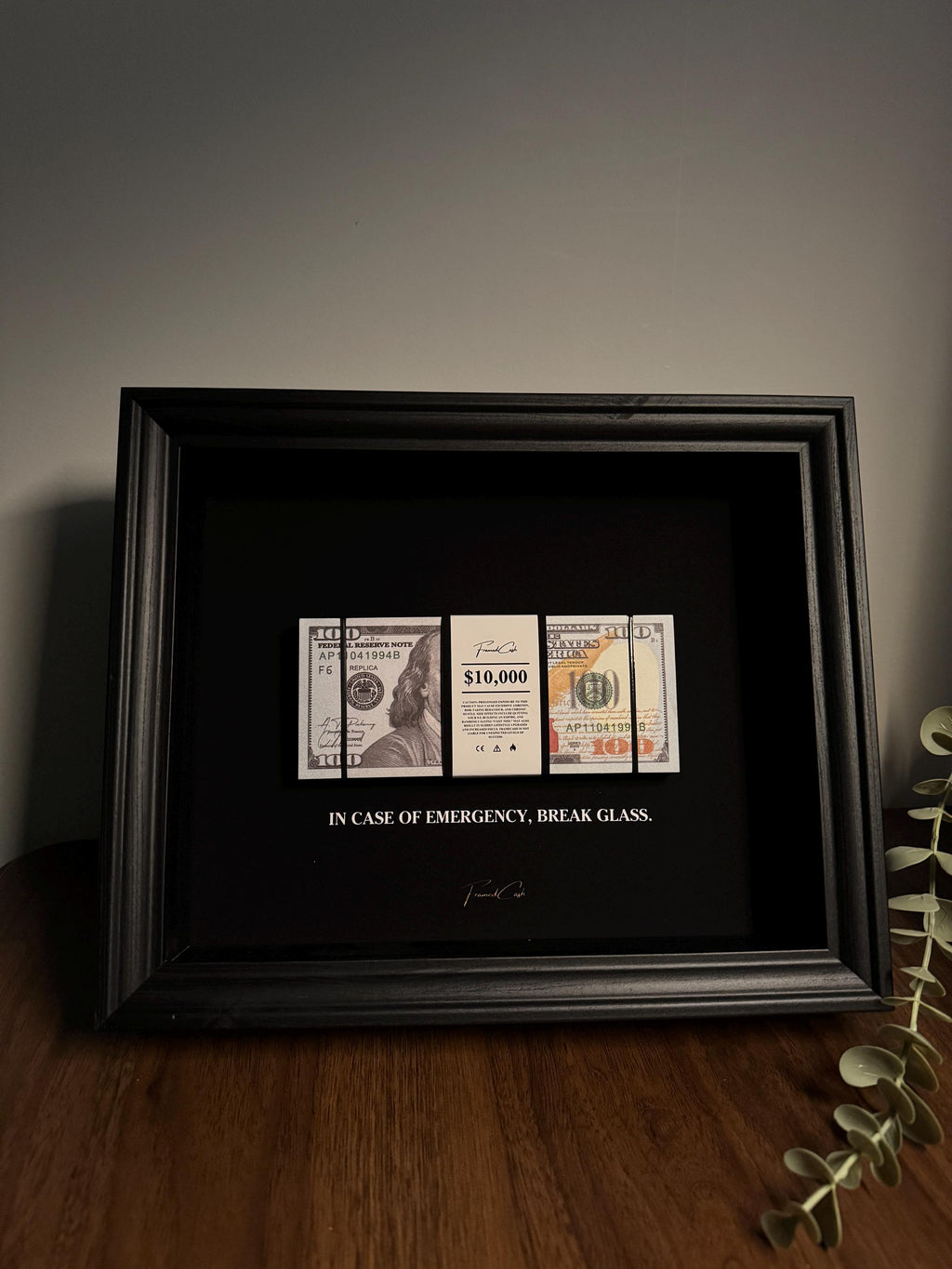 In Case of Emergency Frame - USD Edition | Luxury Money Wall Art