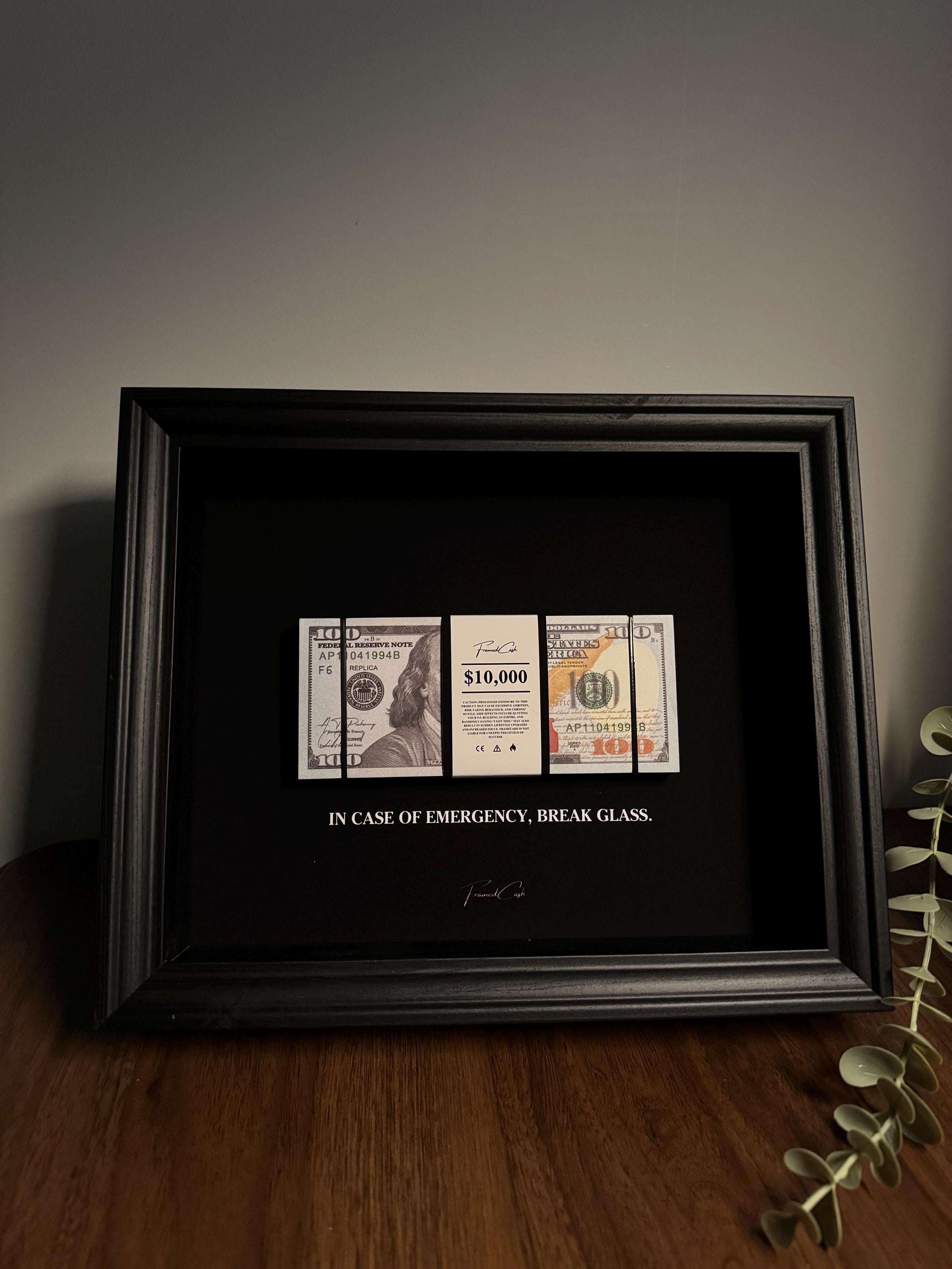 In Case of Emergency Frame - USD Edition | Luxury Money Wall Art
